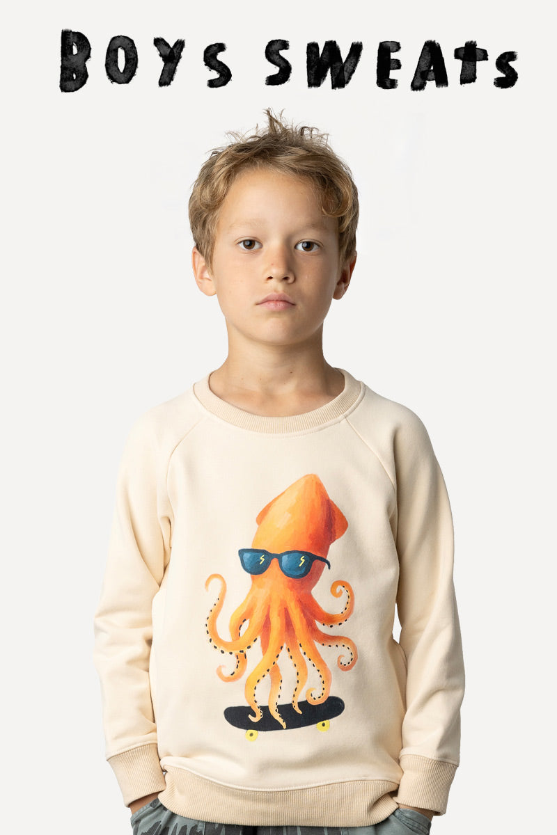 Boys jumpers, kids crew sweatshirts from Minti