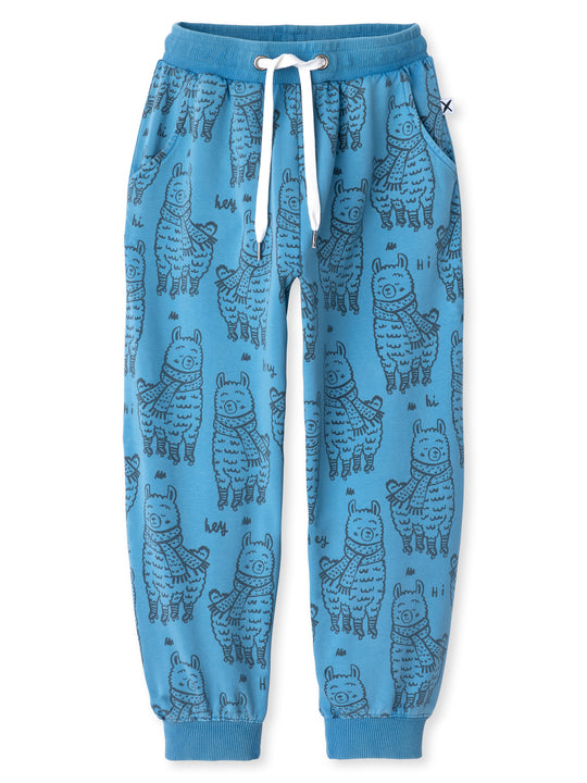 Minti kids clothing. Relaxed universal fit trackies with cosy side pockets, elasticated waistband, shoelace cord and 2x2 Rib cuffs. Small Minti embroidery on the back. 260 Gram // 95% Cotton // 5% Elastane.