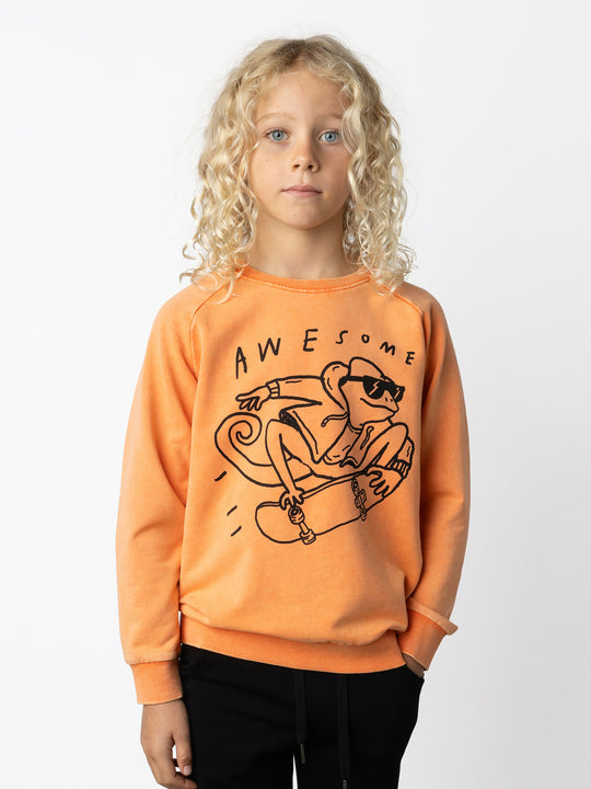 Minti kids clothing. Comfy lightweight raglan crew in super cool washed terry. 260 Gram // 95% Cotton // 5% Elastane.